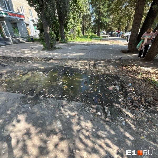 Грязь, которую развозят грузовики, стала причиной недовольства местного жителя, потребовавшего закрыть магазин | Источник: Владислав Зайцев / E1.RU