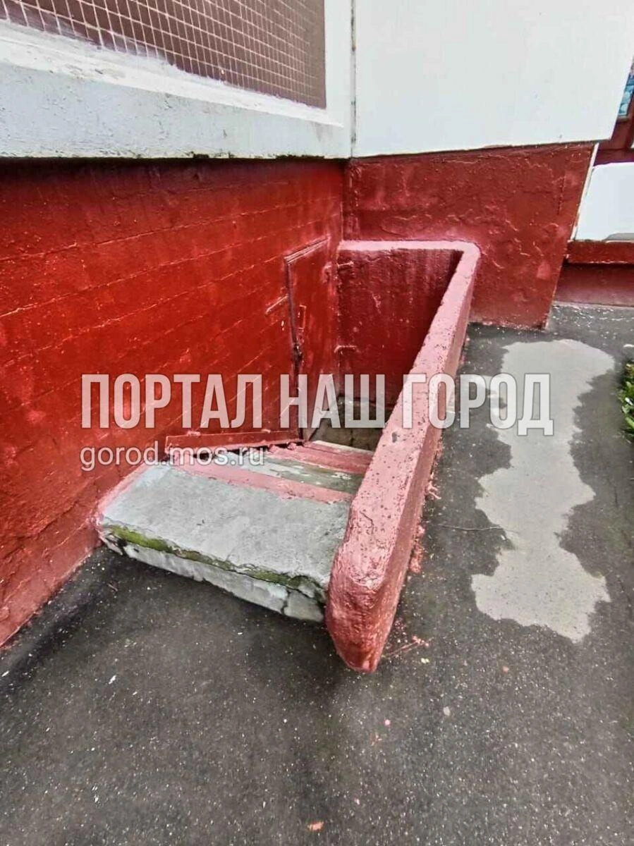 По словам местной жительницы, в подвале размножаются комары | Источник: gorod.mos.ru