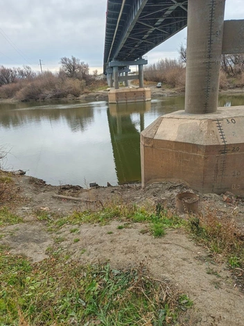 Источник: «Лиза Алерт» / Vk.com