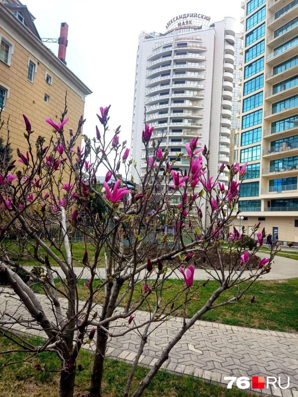 Найти подходящее жилье в Сочи довольно сложно | Источник: Наталья