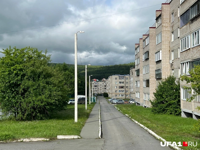В Уфе бы уже вырубили всё | Источник: Андрей Бирюков / UFA1.RU