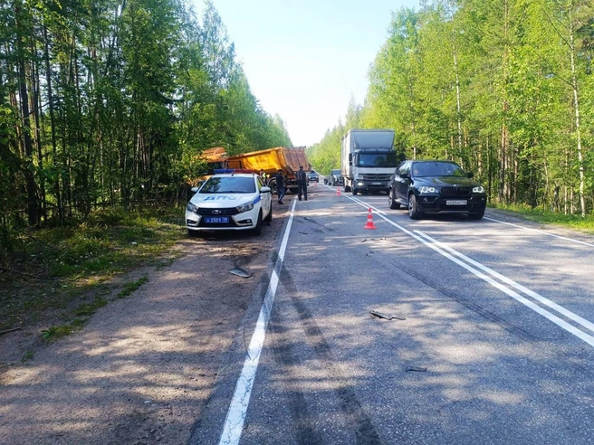 В Приозерском районе произошло смертельное ДТП. Большегруз МАN столкнулся с легковушкой «Ауди» | Источник: Официальный канал Управления Государственной инспекции безопасности дорожного движения по Петербургу и Ленобласти