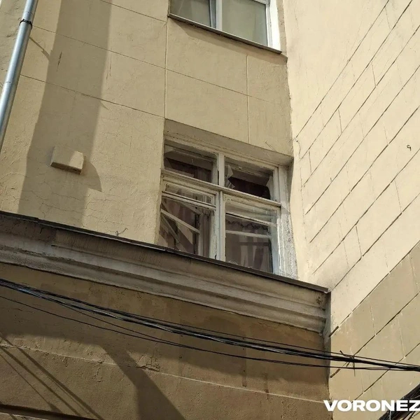 Источник: Алена Воропаева / Voronezh1