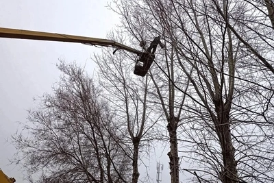 Благоустройство Ульяновска: обрезка деревьев для безопасности