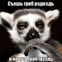 Аватарка Karamel'ka