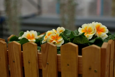 В Волжском открылась выставка весенних цветов