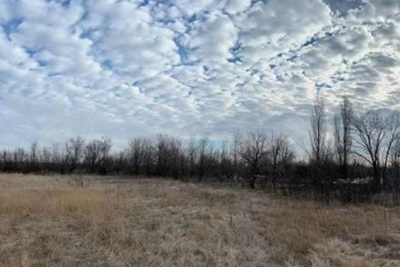 Two Abandoned Stadiums in Kamensk-Shakhtinsky Up for Auction