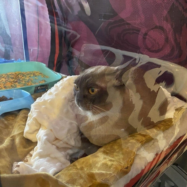 Источник: Ирина Господаренко / NGS22.RU