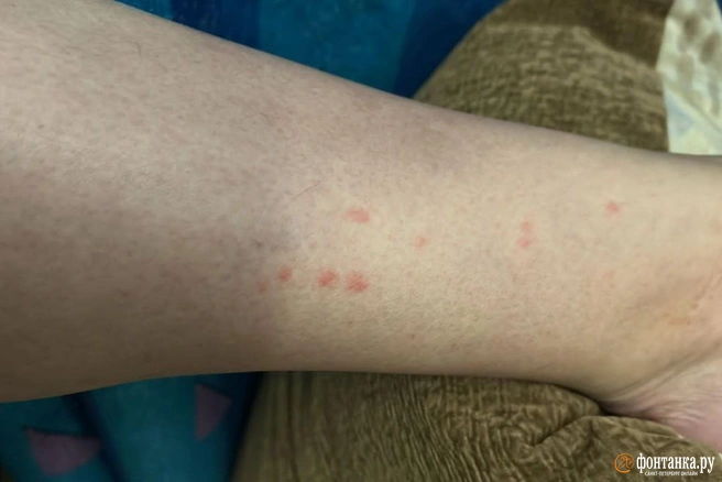 Источник: читательница «Фонтанки» Мария