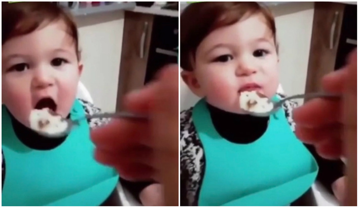 Фото №1 - Родитель слишком долго дразнил ребенка едой, но тот оказался проворнее (видео)