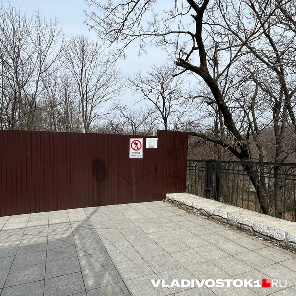 Источник: Елена Буйвол / VLADIVOSTOK1.RU