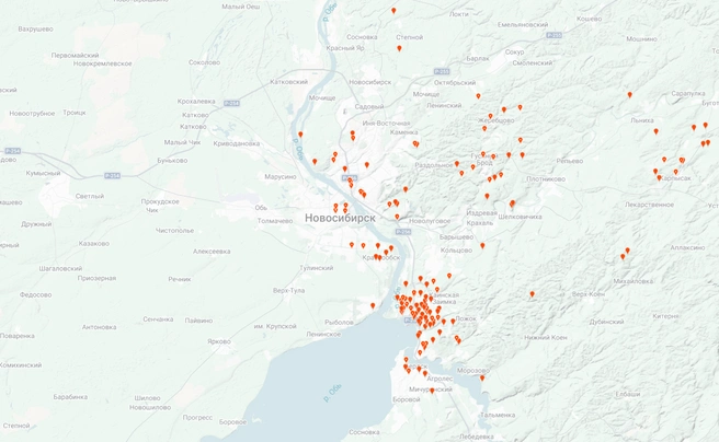 Вешенки легко найти в пригороде Новосибирска | Источник: inaturalist.org