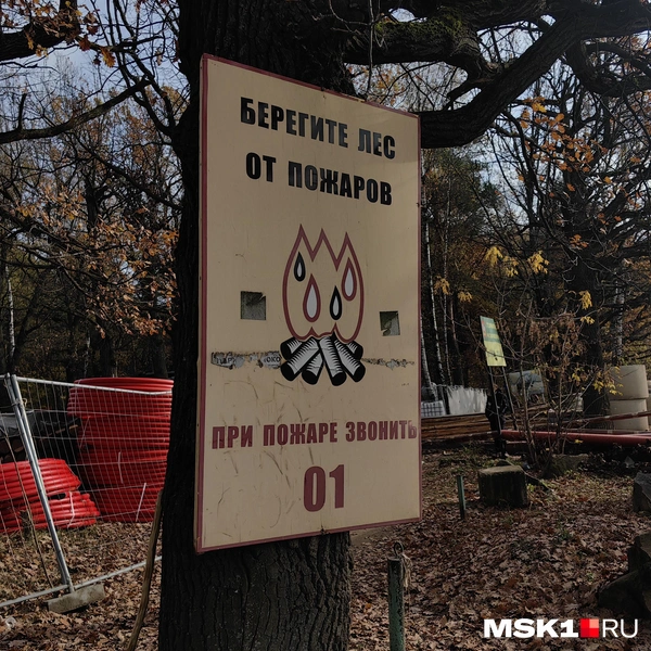Источник: Дмитрий Бондарев / MSK1.RU