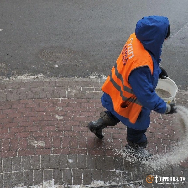 Источник: Михаил Огнев / FONTANKA.RU