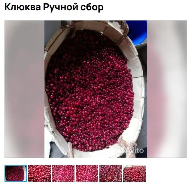 Источник: Авито / Avito.ru