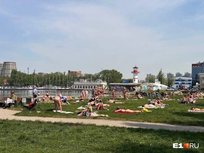 Желающих позагорать в будний день обнаружилось немало | Источник: читатель E1.RU