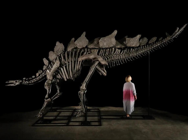 44,6 миллиона долларов: скелет динозавра продали на аукционе за рекордную сумму