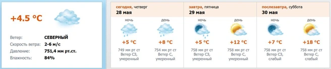 Источник: скриншот с meteo.nw.ru