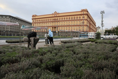 На Лубянке высадили живое лавандовое поле