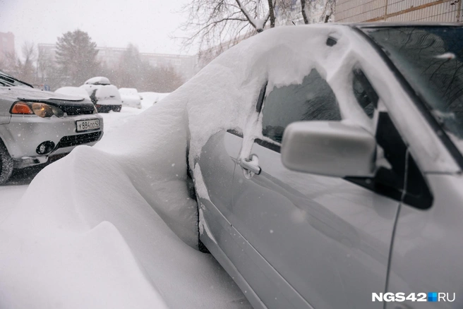 Источник: Максим Серков / NGS42.RU