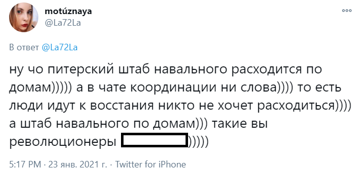 Снежки, печеньки, хороводы и избиения: как в России прошли митинги в поддержку Навального