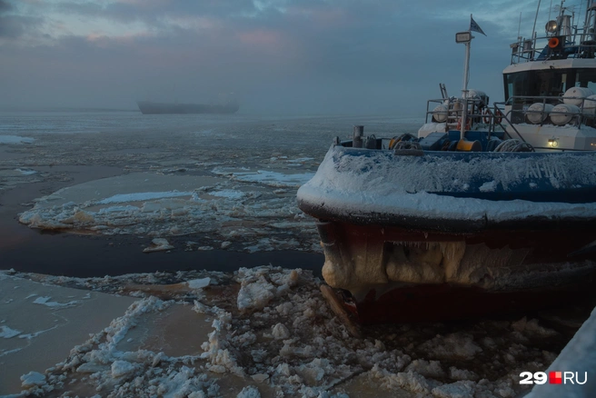 Источник: Иван Митюшёв / 29.RU