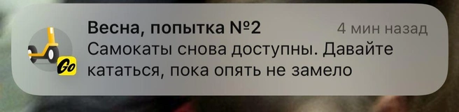 Пользователям пришли уведомления о старте сезона электросамокатов | Источник: читательница MSK1.RU