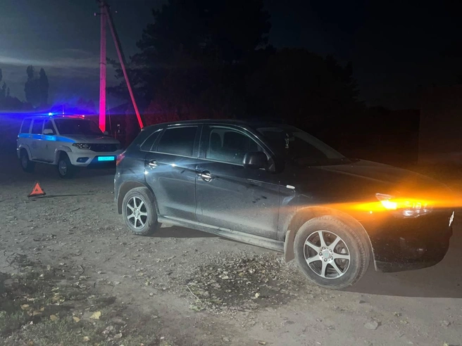 Женщина насмерть сбила ребенка в Минераловодском округе  | Источник: Госавтоинспекция Ставропольского края