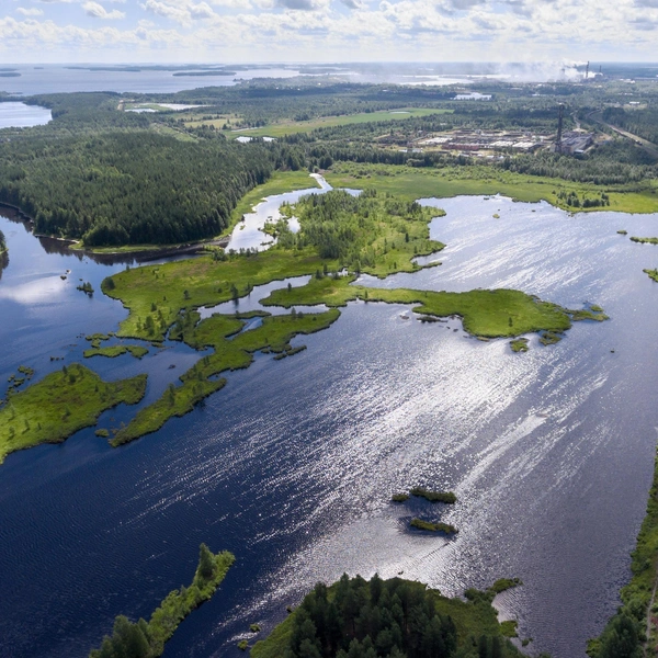 Источник: Kekyalyaynen/Shutterstock/Fotodom.ru