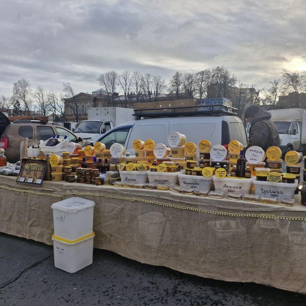 Изобилье меда разных сортов | Источник: Виктория Федорова / 164.RU