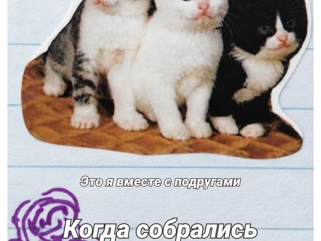 Обед с коллегами — всегда приятное время | Источник: Полина Авдошина / Городские медиа