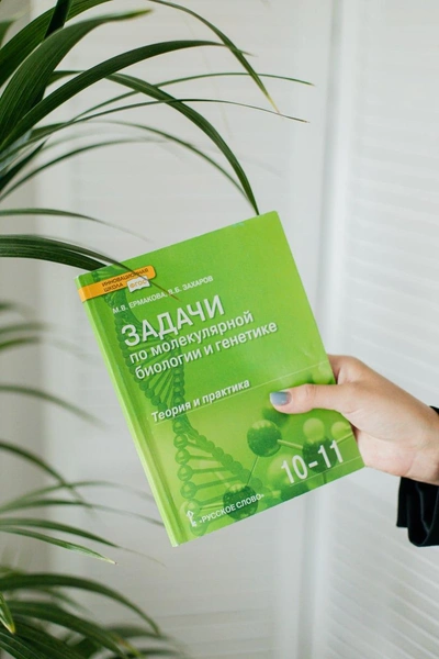 Источник: Ксения Зимина