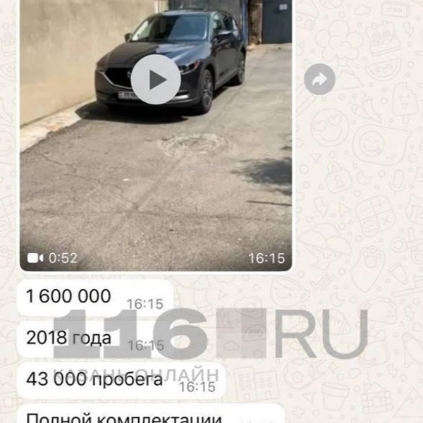Источник: Предоставлено героем материала