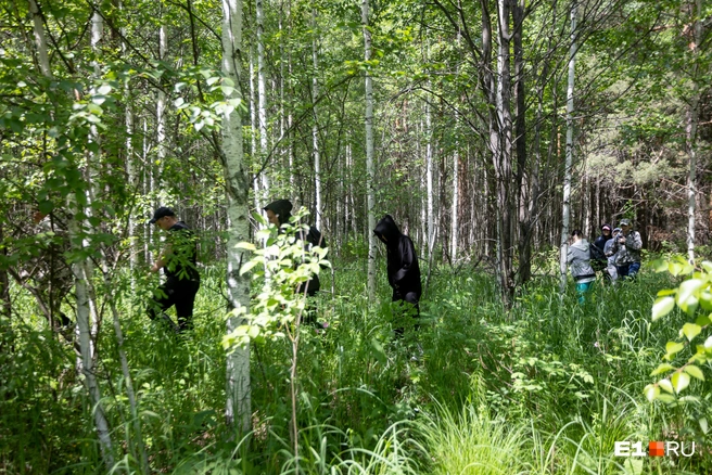 Пропавшего в лесу ищут уже почти месяц  | Источник: Владислав Лоншаков / E1.RU