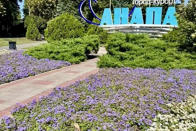 Землетрясение в Анапе 17 сентября