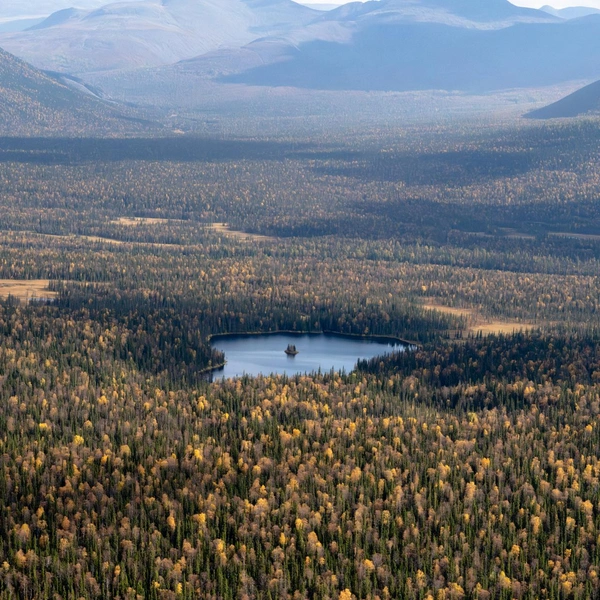 Источник: Константин Парфеньев / предоставлено АНО «Агентство по развитию туризма и продвижению Республики Коми»