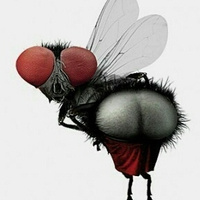 Аватарка Keksik