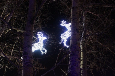 Чита потратила 71,8 млн рублей на новогодний фестиваль