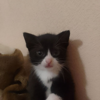 Аватарка marienghof