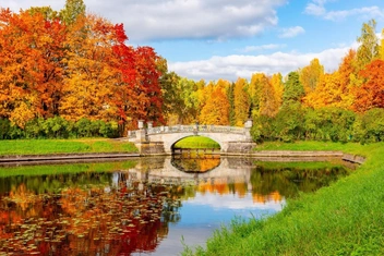 Мини-тест: Выберите осенний цвет, а мы раскроем ваше тайное желание