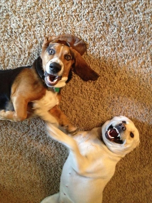 Чего не радуемся? Начало новой рабочей недели&nbsp;— повод для лучезарной улыбки | Источник: читатель 63.RU