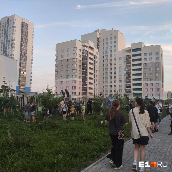 Источник: читатель E1.RU