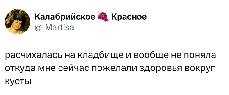 Источник: X (Twitter)