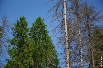 В двух округах ликвидировали два беспилотных аппарата