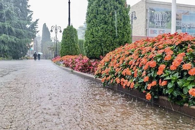 30 марта в Сочи прогнозируют сильный дождь