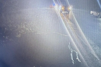Под Рязанью в ДТП с лосем пострадал ребенок