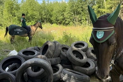 Незаконные свалки в Ленобласти ищут с лошадей