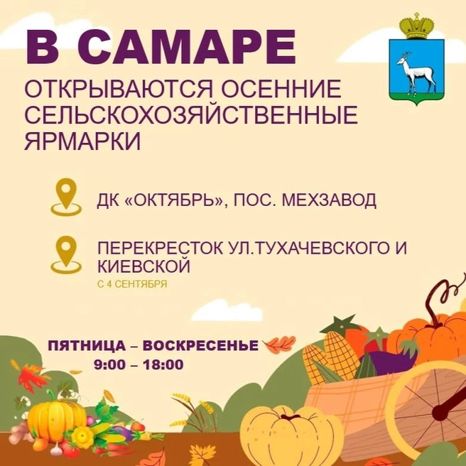 Источник: мэрия Самары