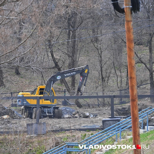 Источник: Елена Буйвол / VLADIVOSTOK1.RU