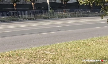 Источник: Андрей Пашинский / Voronezh1.ru